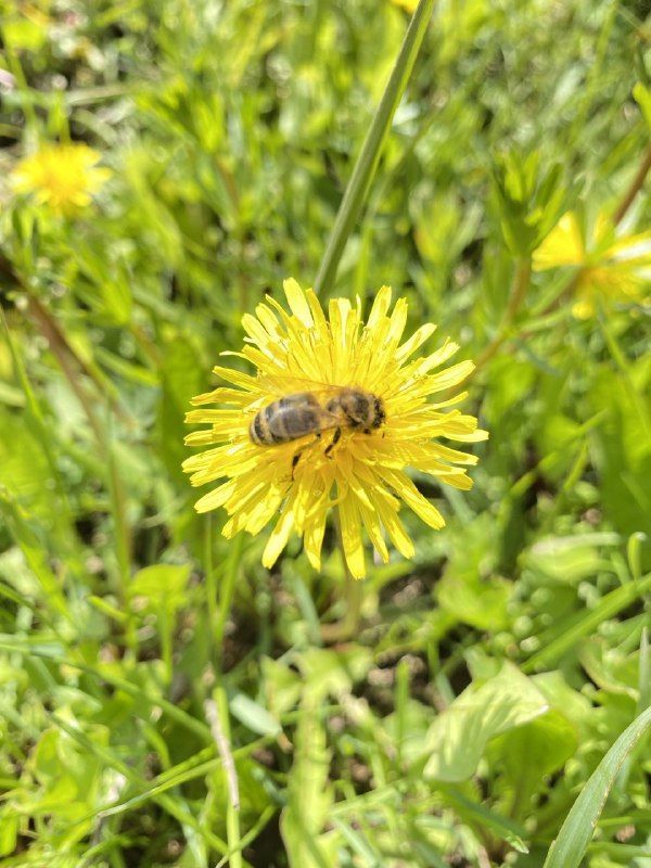 Приметы на 30 апреля 2025 года: что категорически запрещается делать в этот день