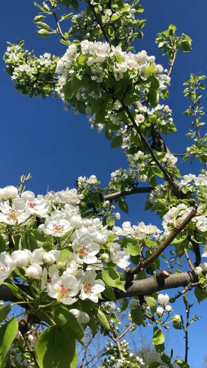 Гороскоп на 14 мая: Космический совет Водолеям: если дверь закрыта — ищите окно, не ломайте стену.