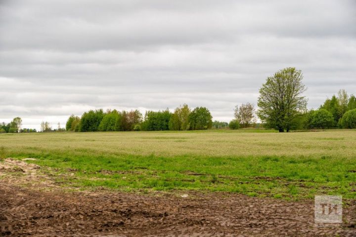 Новые штрафы для дачников