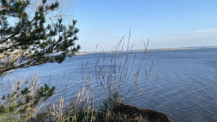 Читайте гороскоп на 5 мая 2025 года