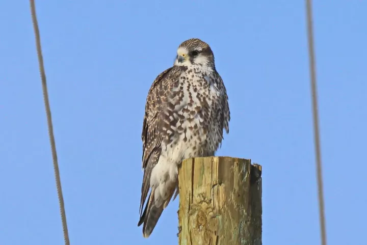 Народные приметы нв 10.07.2025