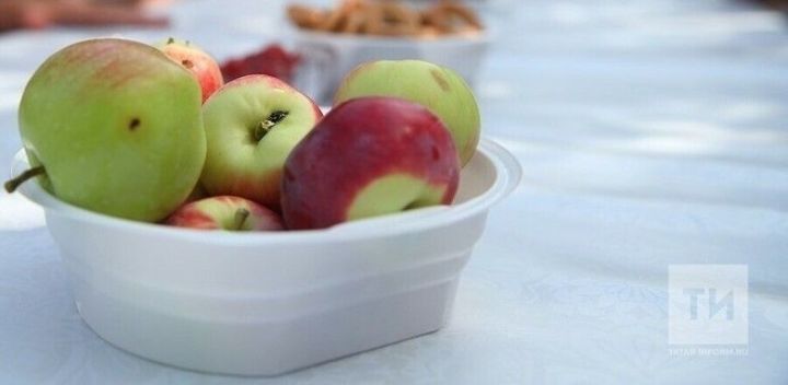 Алмаларны кышка ничек сакларга?