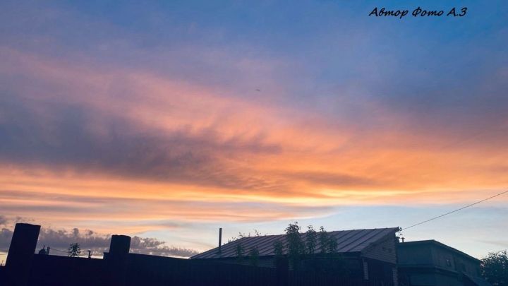 Что необходимо сделать в саду в сентябре?