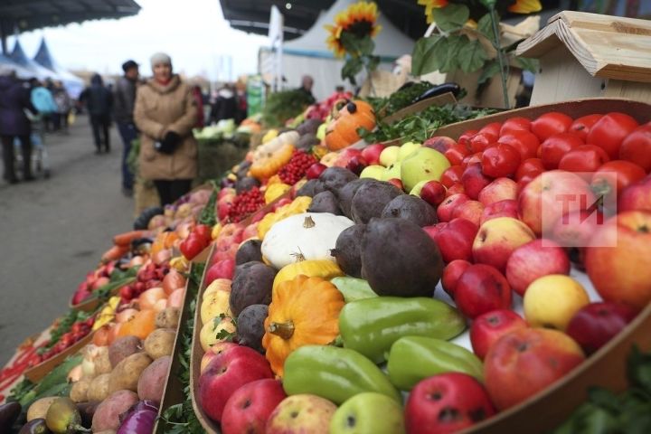 Осенние сельскохозяйственные ярмарки стартуют в Казани 13 сентября