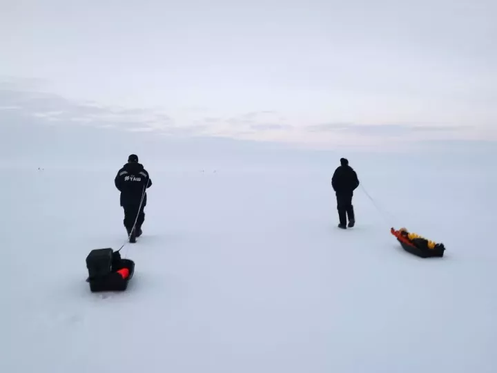 Язгы боз  мәкерле һәм куркыныч