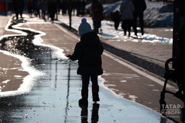 Как лужи помогают очищать воздух и поддерживать здоровье