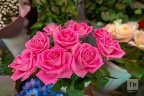 Как правильно подкармливать розы в разные периоды сезона