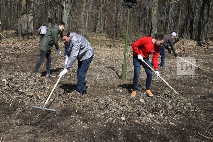 В Татарстане с 1 апреля стартует санитарно-экологический двухмесячник