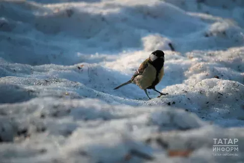 Вот ваш гороскоп на Международный женский день — 8 марта