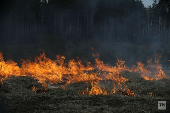 В Рыбно-Слободском районе зафиксированы возгорания сухой травы