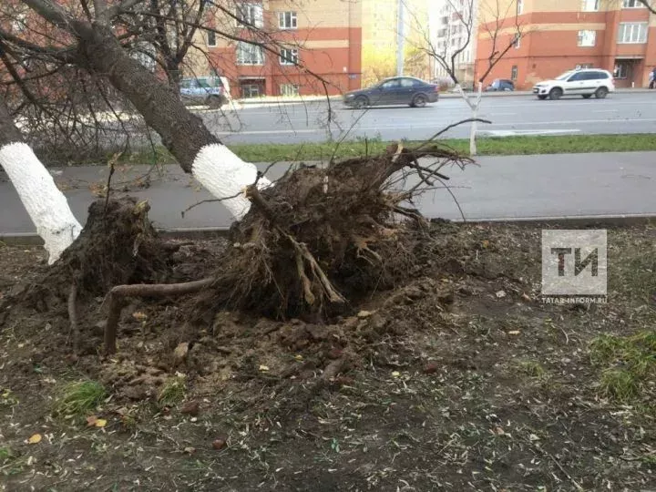 Жительница Татарстана получила травму из-за разрушения остановки ветром