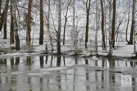Республикабыз елгаларында су күтәрелә