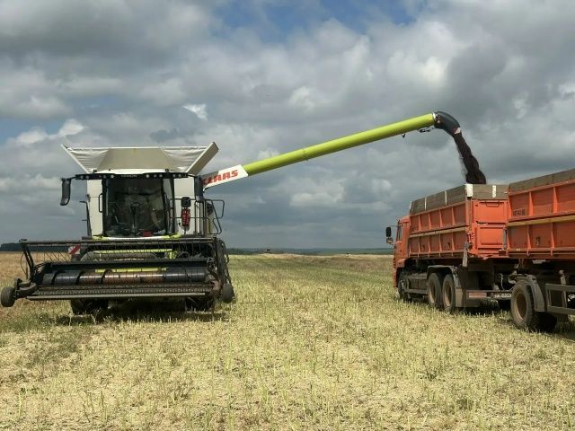 В Рыбно-Слободском районе стартовала уборочная кампания