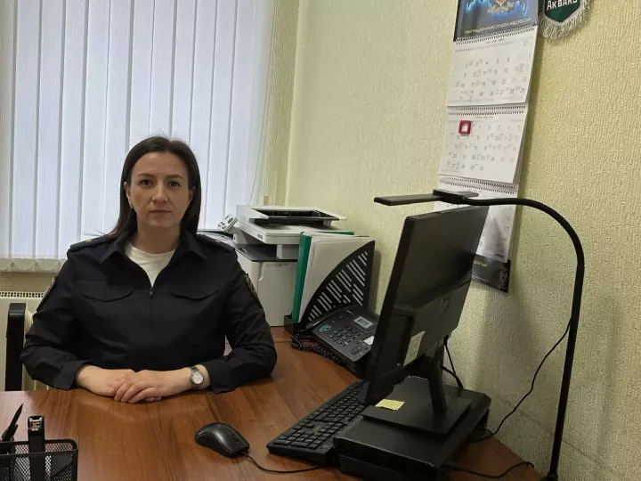 Как проверить действительность документа через Госуслуги