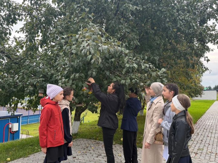 Осенняя неделя добра объединила жителей Нового Арыша